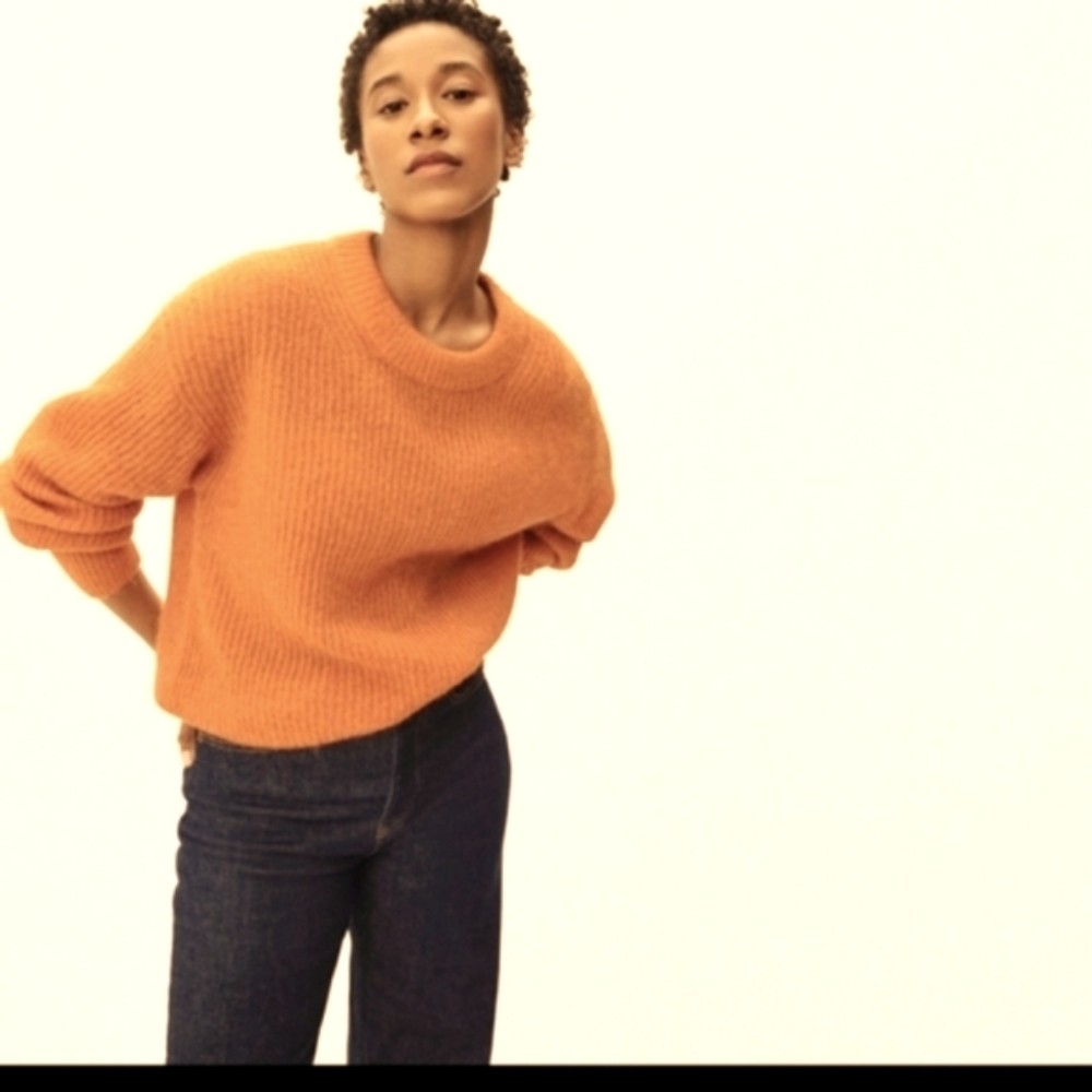 EVERLANE Oversized Alpaca Crew